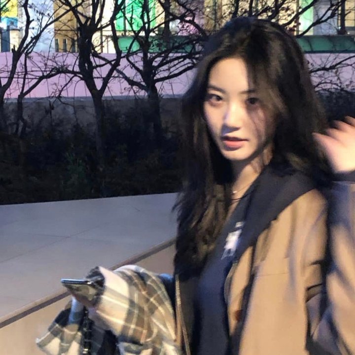 美食总动员